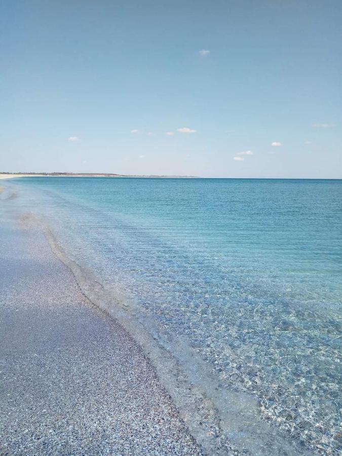 Къща за гости Феникс Шабла Екстериор снимка