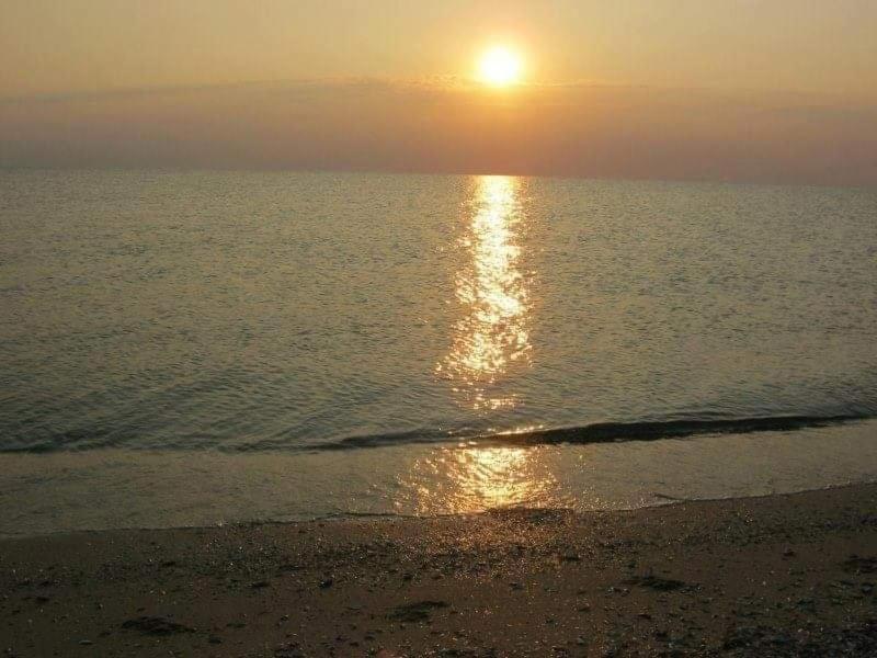Къща за гости Феникс Шабла Екстериор снимка